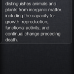 Siri-Funny-MOL2