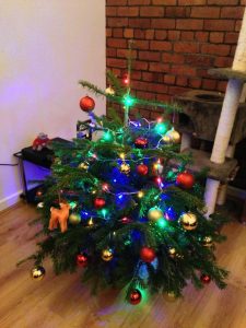 Norbert Christmas Tree 2012 Decorated