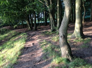 Rivington - A Place of Natural Delightful Beauty