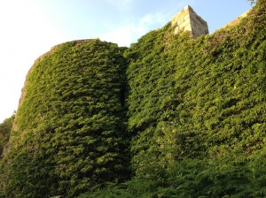 Outside Rivington Castle - Covered In Greenery