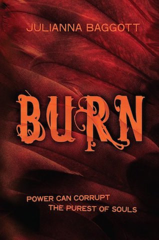 burn-j-baggott-book-cover