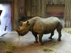 chester-zoo-2016-23