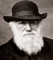 MI-Charles-Darwin