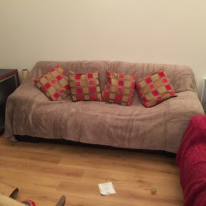 new-sofa-2017-0
