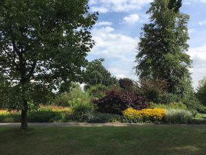 Sheffield-Botanical-Garden-August-17-1
