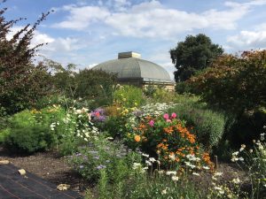 Sheffield-Botanical-Garden-August-17-10