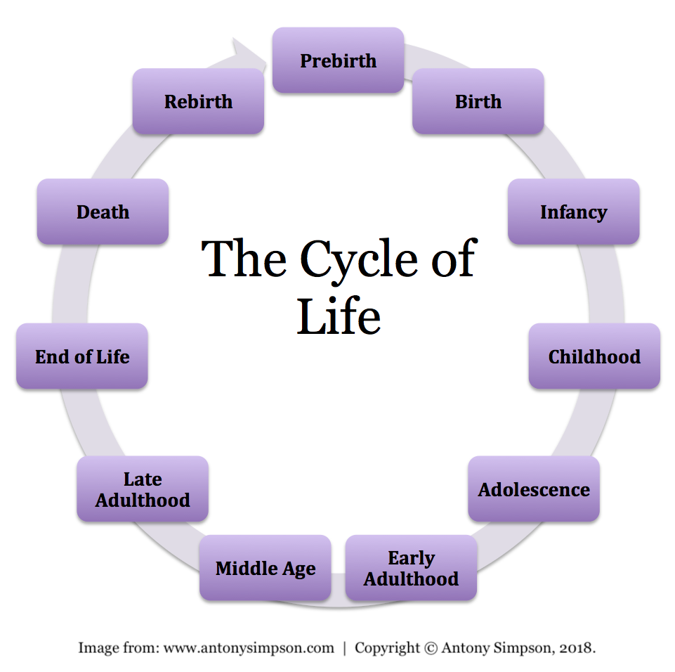 cycle-of-life-diagram-by-Antony-Simpson