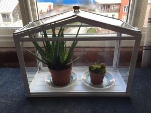 indoor-greenhouse-from-ikea-2018