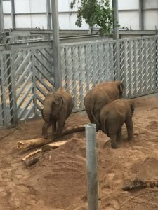 Blackpool-Zoo-September-2018-0