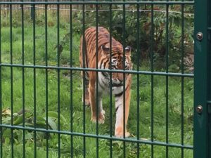 Blackpool-Zoo-September-2018-11