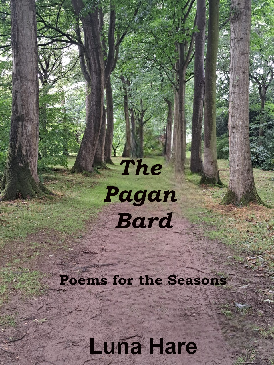Book Review: The Pagan Bard by Luna Hare